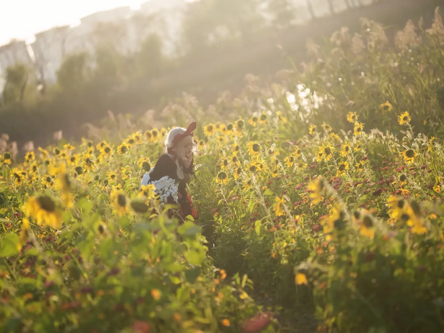 Touhou Project, Cosplay photography, Medicine Melancholy cosplay, Flower field photography, Golden hour - Image 3