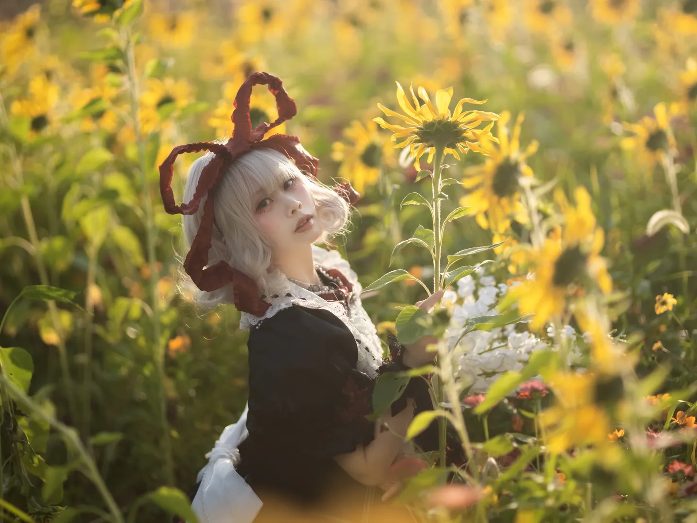 Touhou Project, Cosplay photography, Medicine Melancholy cosplay, Flower field photography, Golden hour - Image 4