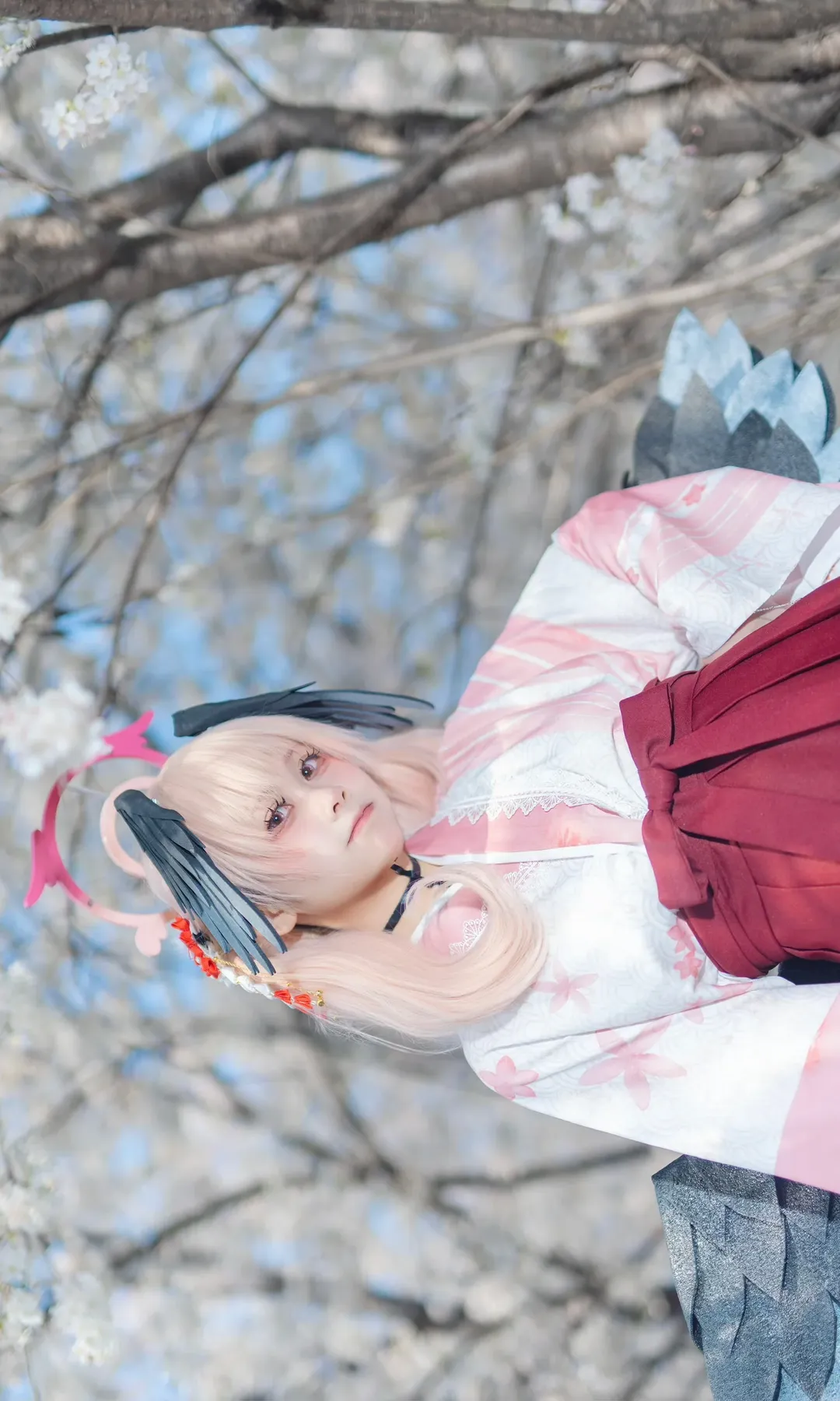 二次元摄影, 碧蓝档案, 下江小春cos, 和风cosplay, 樱花cos - 第1张