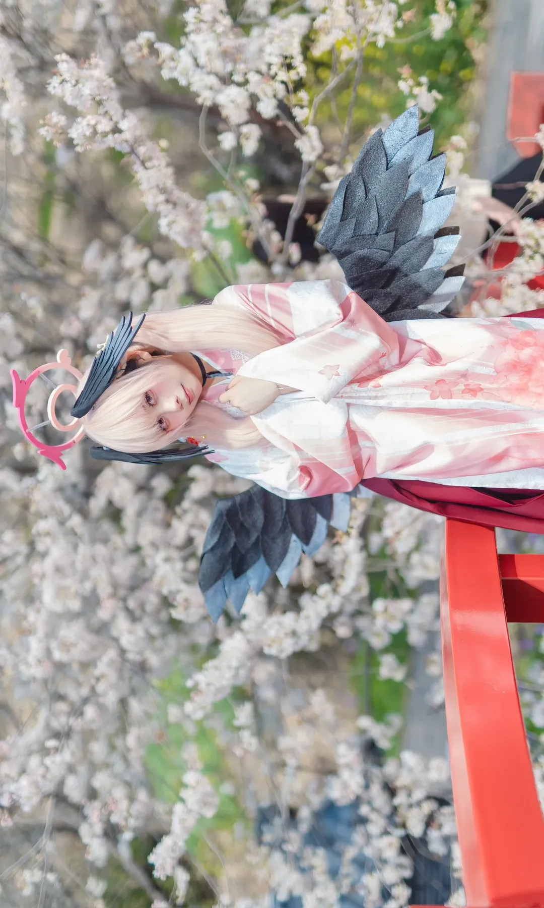 二次元摄影, 碧蓝档案, 下江小春cos, 和风cosplay, 樱花cos - 第2张