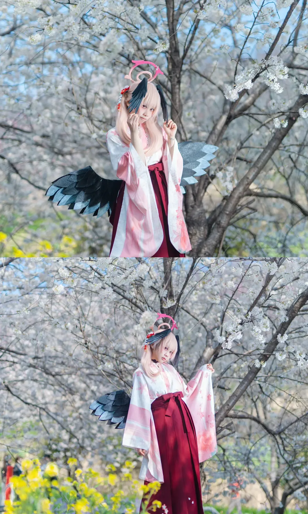 二次元摄影, 碧蓝档案, 下江小春cos, 和风cosplay, 樱花cos - 第4张