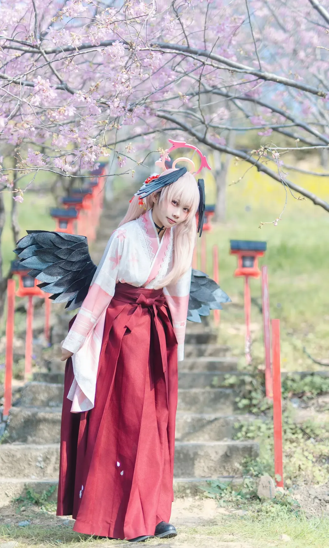 二次元摄影, 碧蓝档案, 下江小春cos, 和风cosplay, 樱花季外景 - 第1张