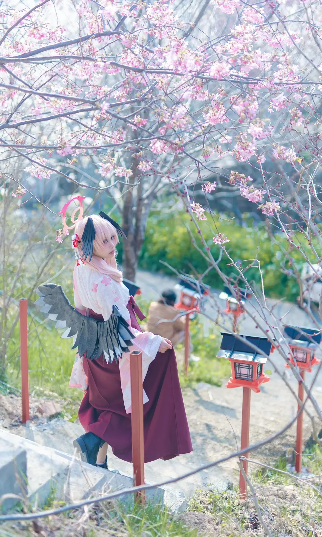 二次元摄影, 碧蓝档案, 下江小春cos, 和风cosplay, 樱花季外景 - 第6张