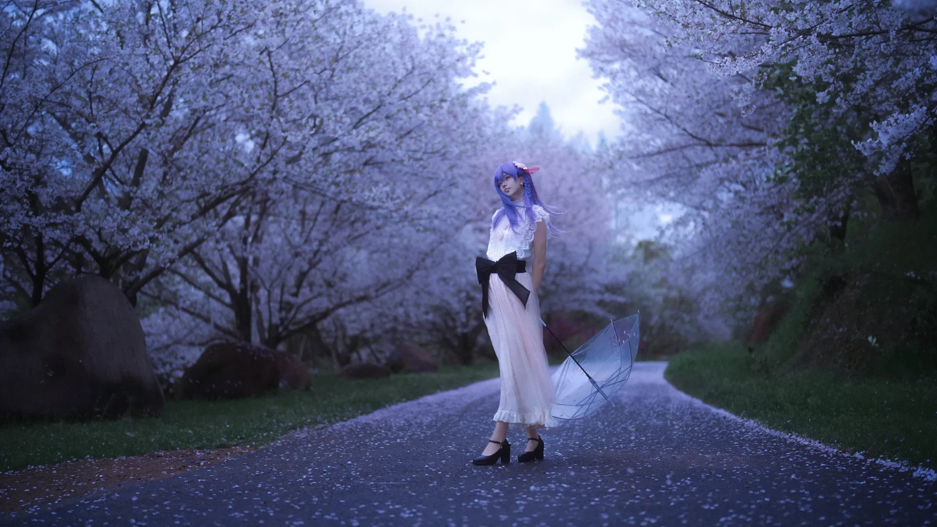 Fate/Grand Order, 二次元cosplay, 人像摄影, 间桐樱cos, 夜樱摄影 - 第4张