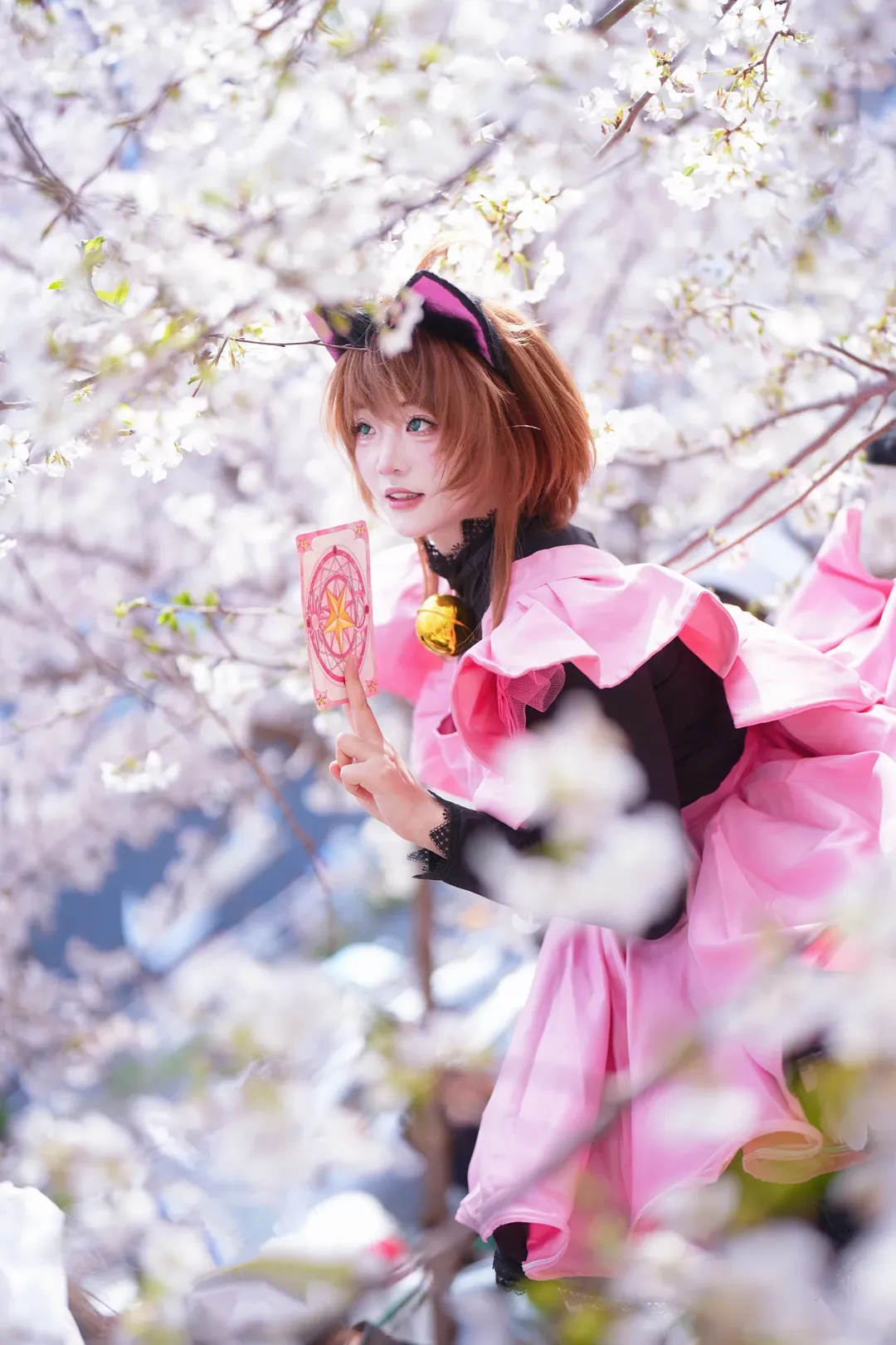 猫耳少女, cosplay正片, 魔法少女装扮, 户外人像写真, 武汉樱花季 - 第10张