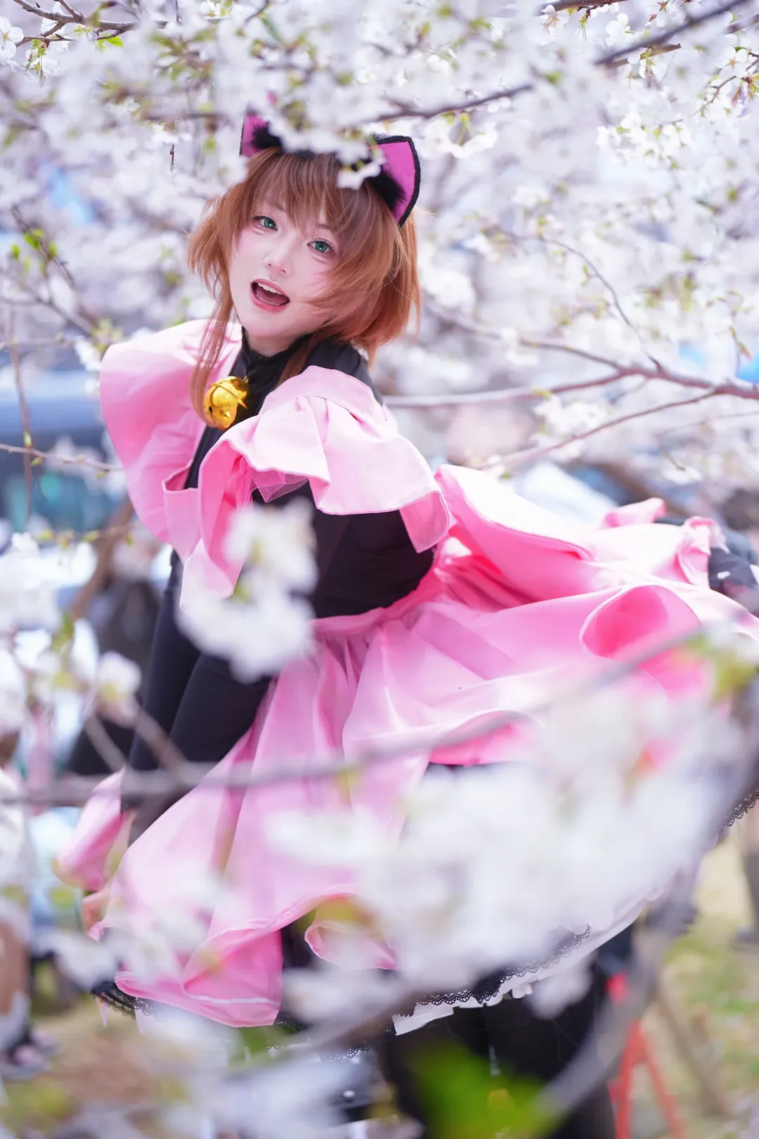 Catgirl, Cosplay photoshoot, Magical girl outfit, Outdoor portrait photography, Wuhan Cherry Blossom Season