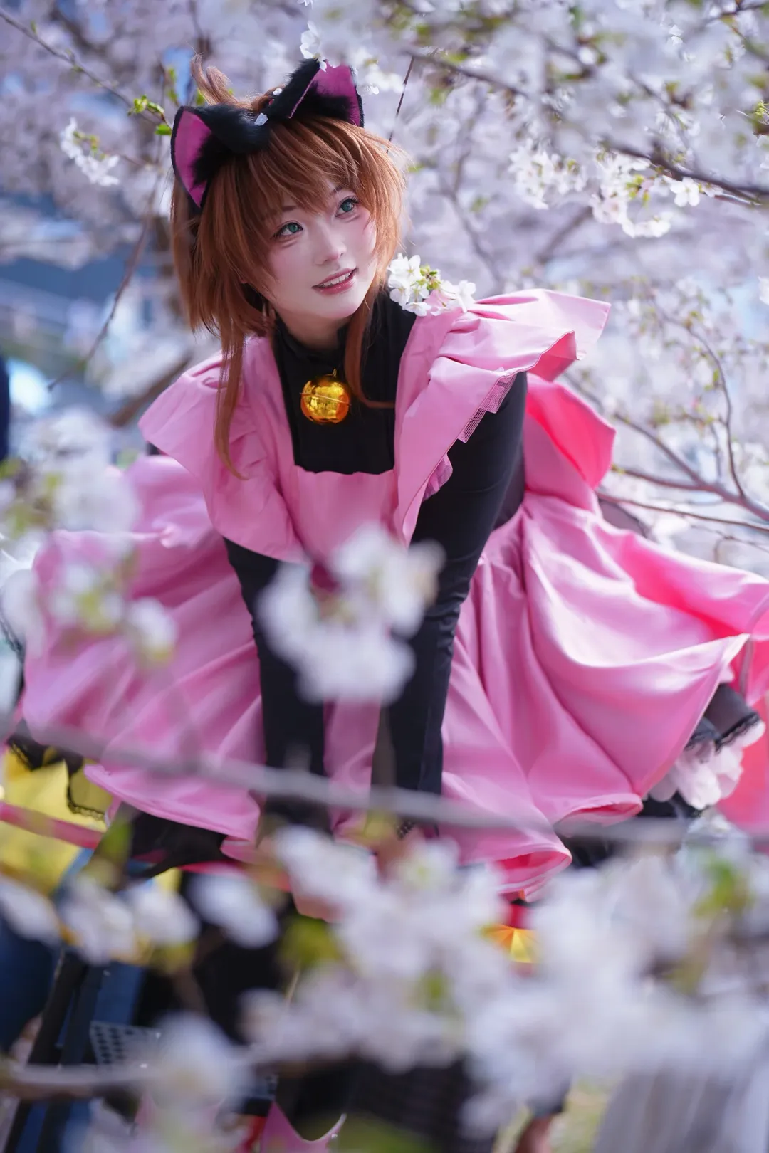 猫耳少女, cosplay正片, 魔法少女装扮, 户外人像写真, 武汉樱花季 - 第5张