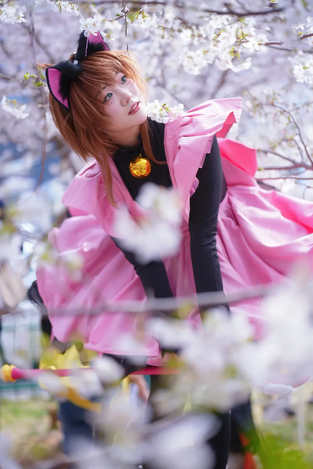 猫耳少女, cosplay正片, 魔法少女装扮, 户外人像写真, 武汉樱花季 - 第7张