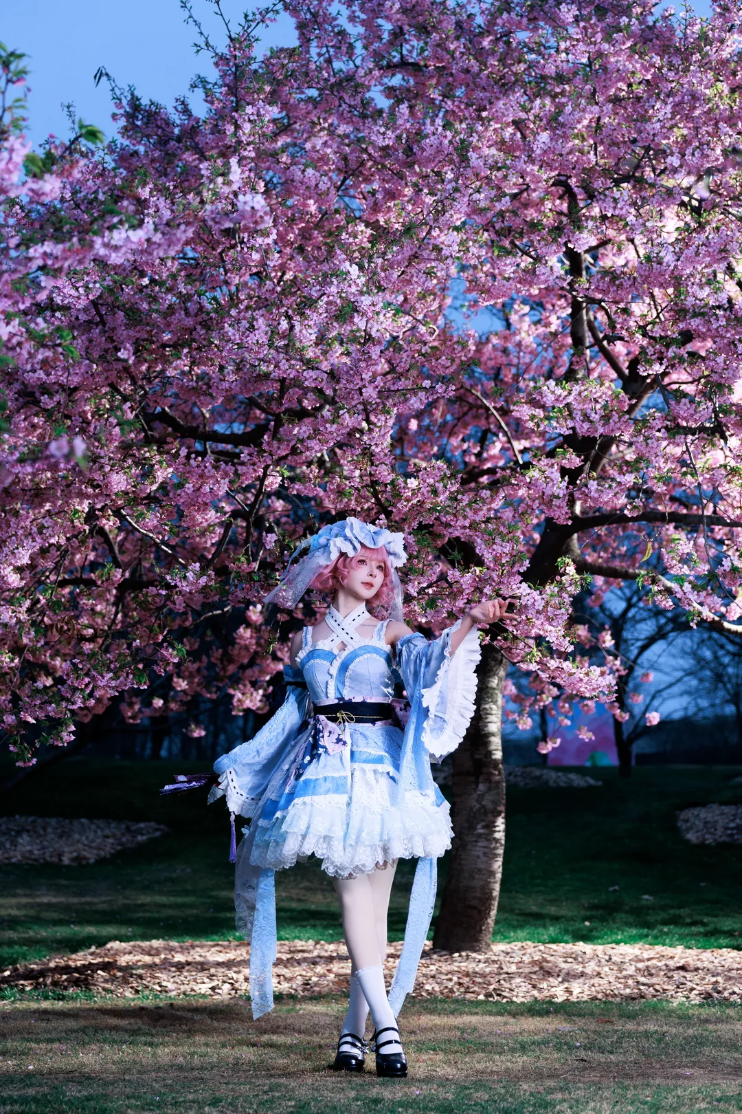 东方Project, 西行寺幽幽子cos, cosplay分享, 夜樱摄影, Lolita洋装 - 第2张