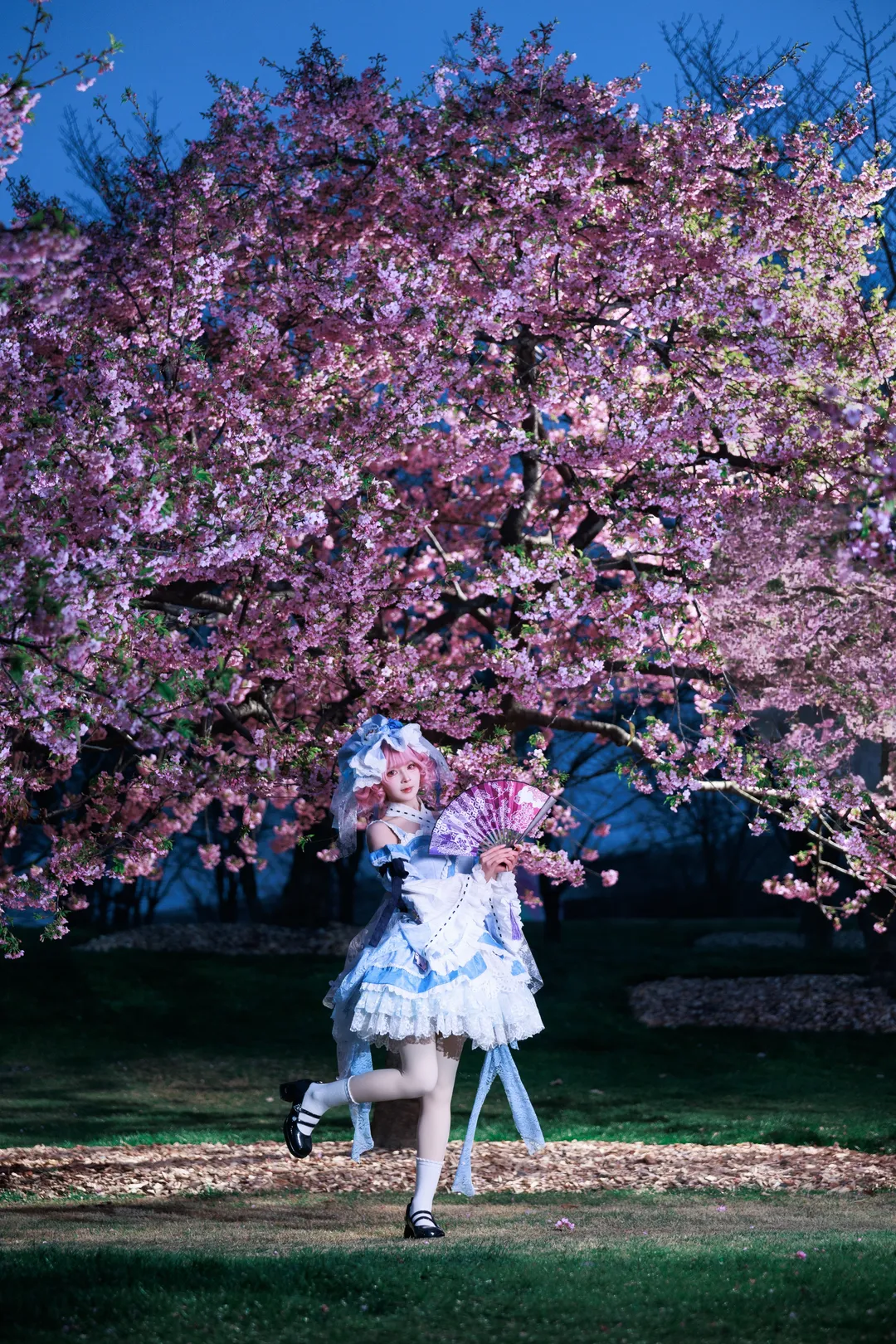 东方Project, 西行寺幽幽子cos, cosplay分享, 夜樱摄影, Lolita洋装 - 第4张