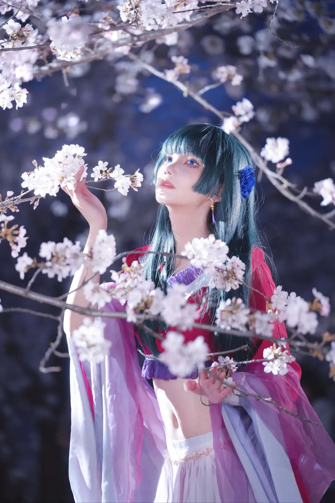 古风cosplay, 猫猫cos, 药屋少女的呢喃, 夜景摄影, 夜樱写真 - 第1张