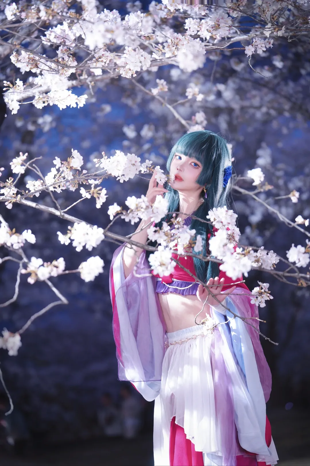 古风cosplay, 猫猫cos, 药屋少女的呢喃, 夜景摄影, 夜樱写真 - 第2张