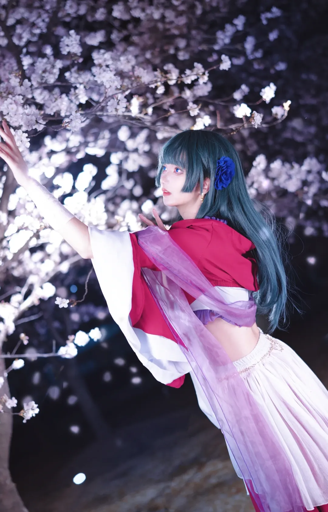 古风cosplay, 猫猫cos, 药屋少女的呢喃, 夜景摄影, 夜樱写真 - 第6张