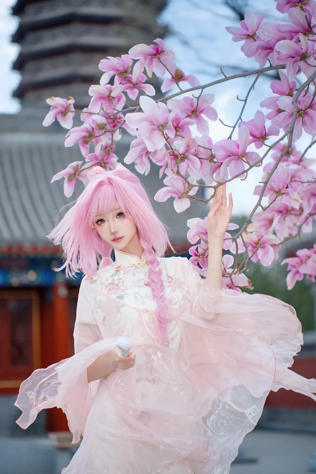 爱莉希雅cos, 精灵耳, 国风私设, 玉兰花写真, 古建外景 - 第1张