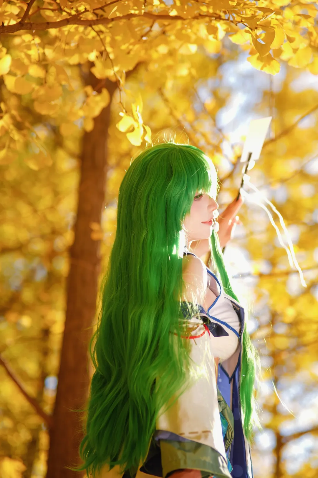 东方Project, 东风谷早苗cos, 二次元cos正片, 巫女cosplay, 秋日银杏写真 - 第2张
