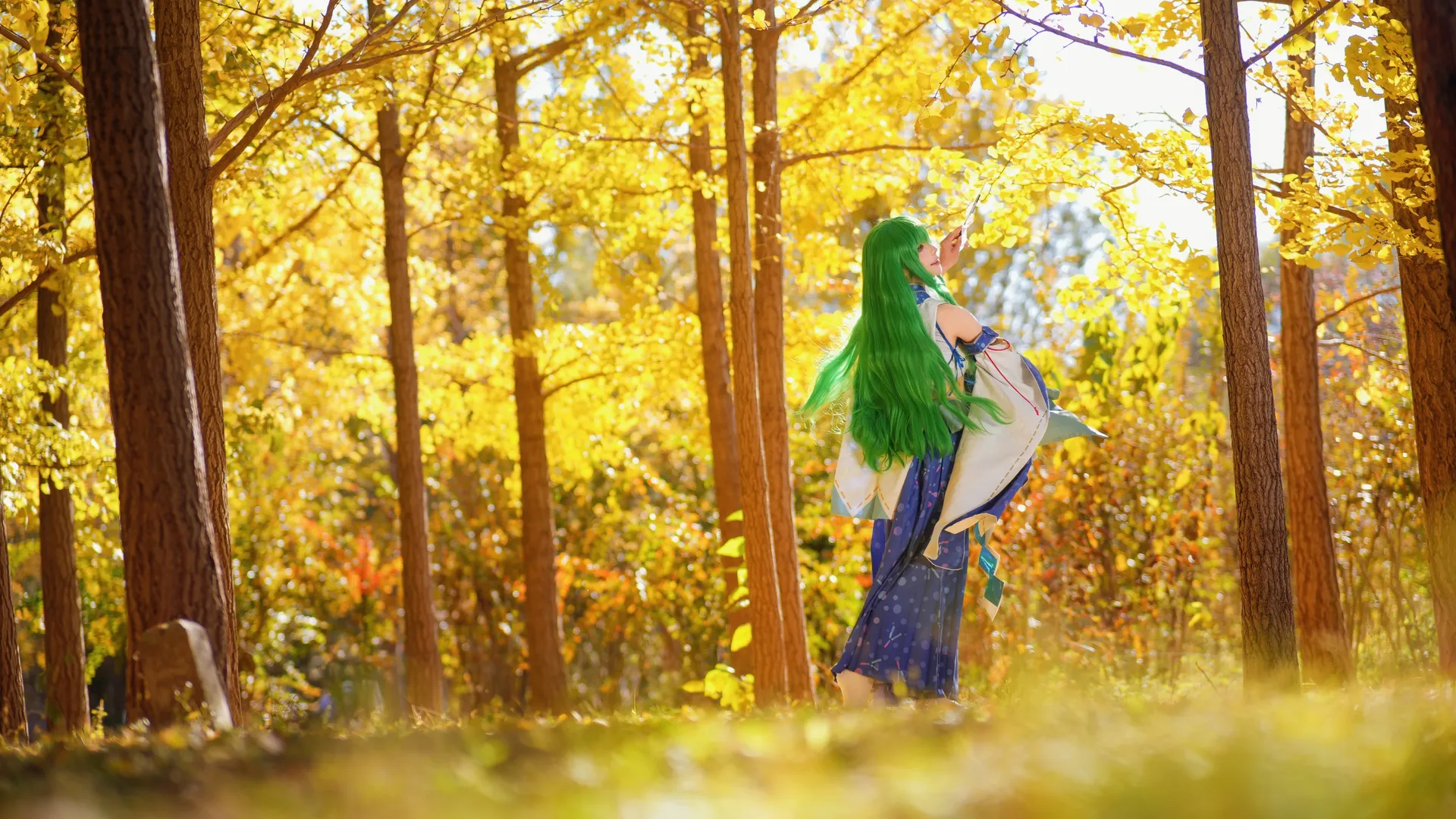东方Project, 东风谷早苗cos, 二次元cos正片, 巫女cosplay, 秋日银杏写真 - 第6张