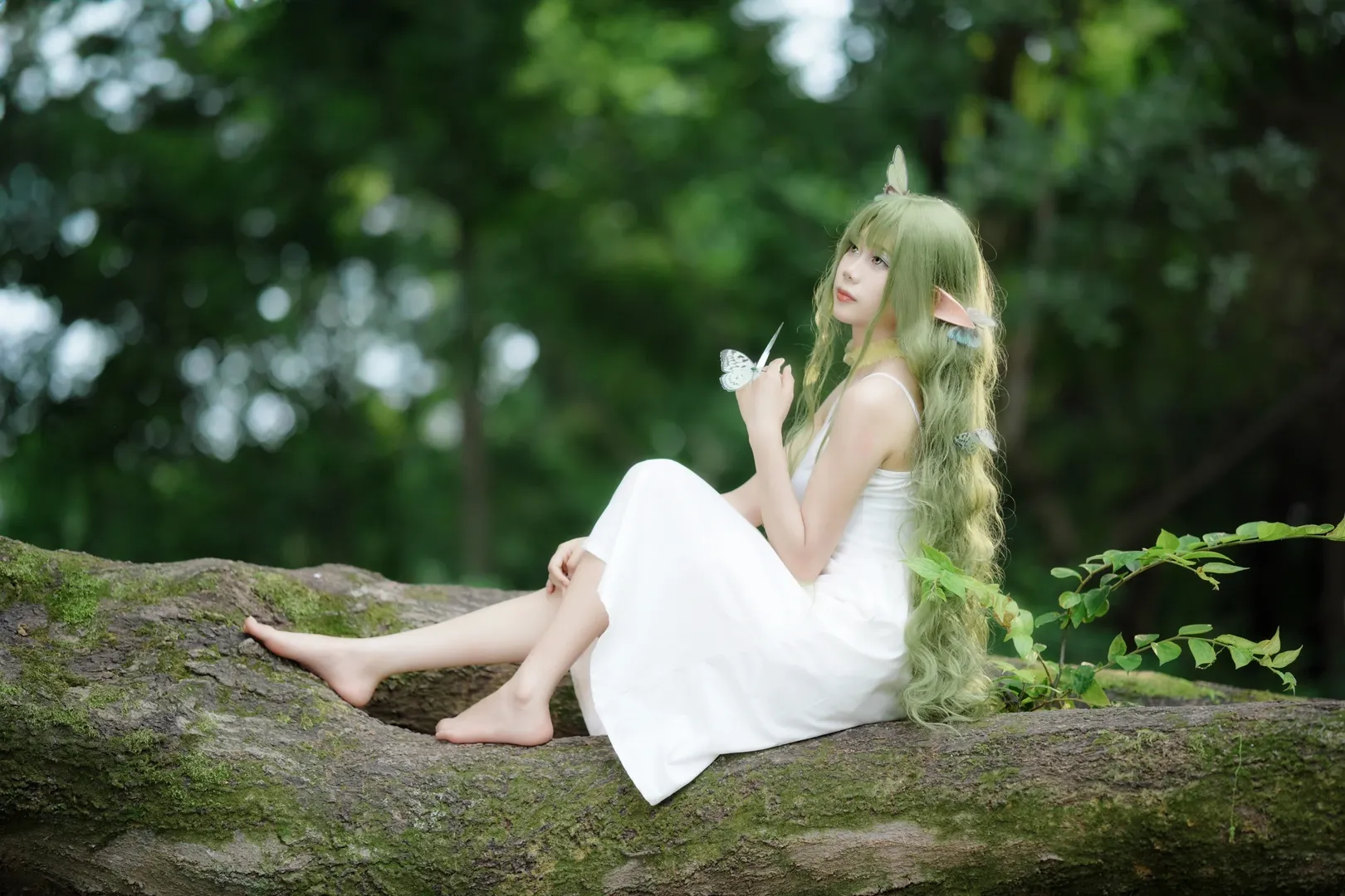 ポートレート, エルフ コスプレ, ACG屋外ロケーション, 成都での撮影依頼, 森系ポートレート - 11枚目
