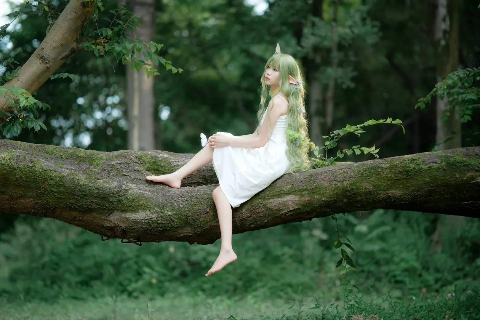 ポートレート, エルフ コスプレ, ACG屋外ロケーション, 成都での撮影依頼, 森系ポートレート - 7枚目