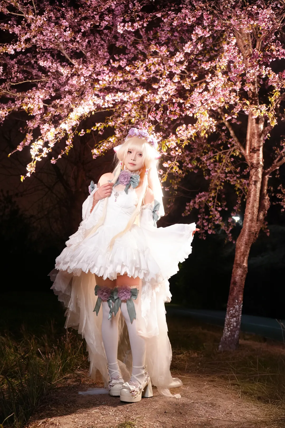 二次元摄影, 小叽cos, 夜景人像, cosplay正片, 冬樱花