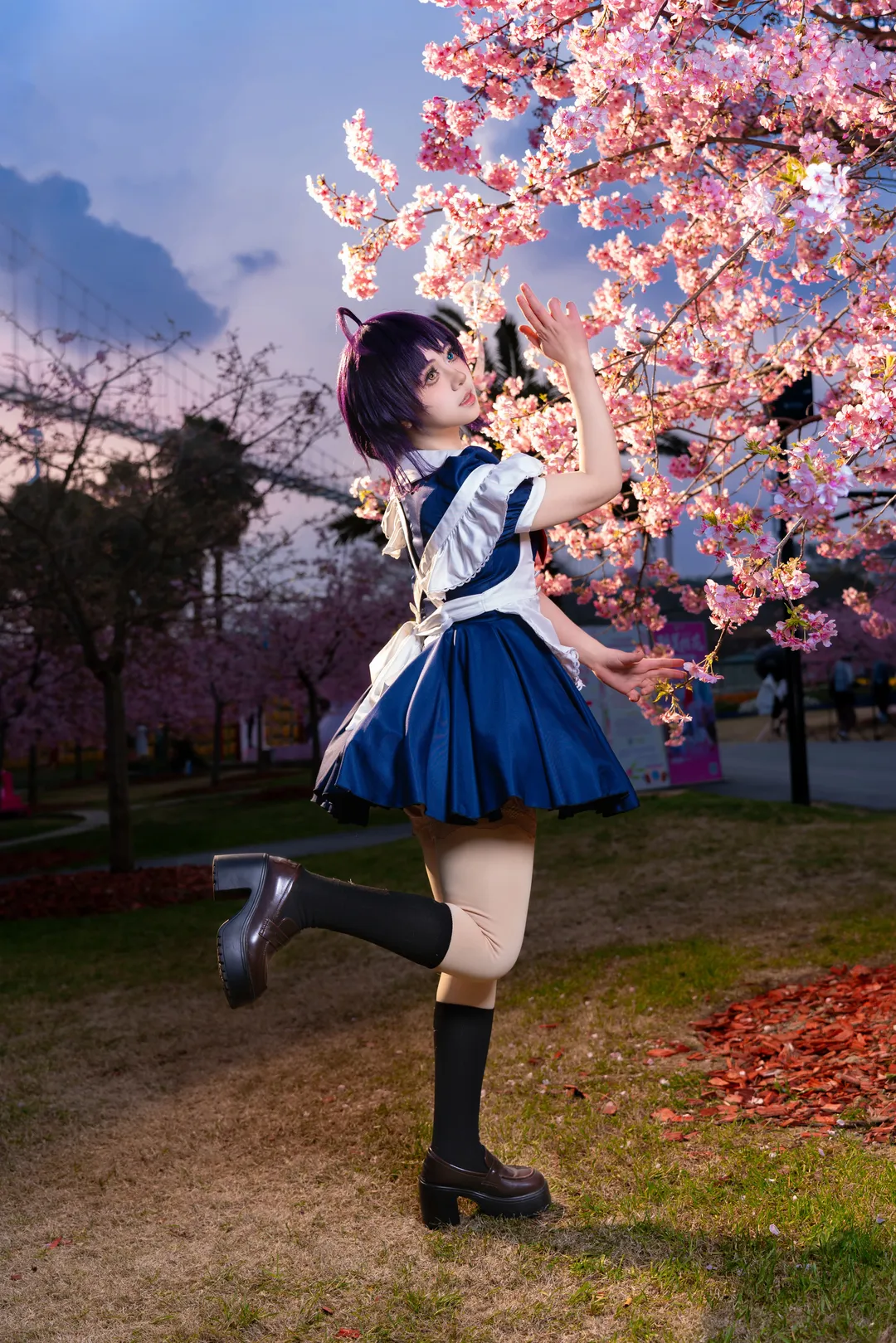 中二病也要谈恋爱, 漫花庄园, cosplay正片, 樱花外景, 小鸟游六花cos - 第1张