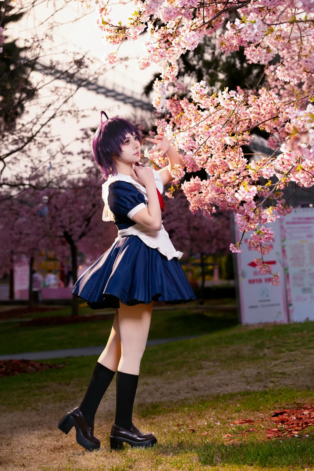 中二病也要谈恋爱, 漫花庄园, cosplay正片, 樱花外景, 小鸟游六花cos - 第5张