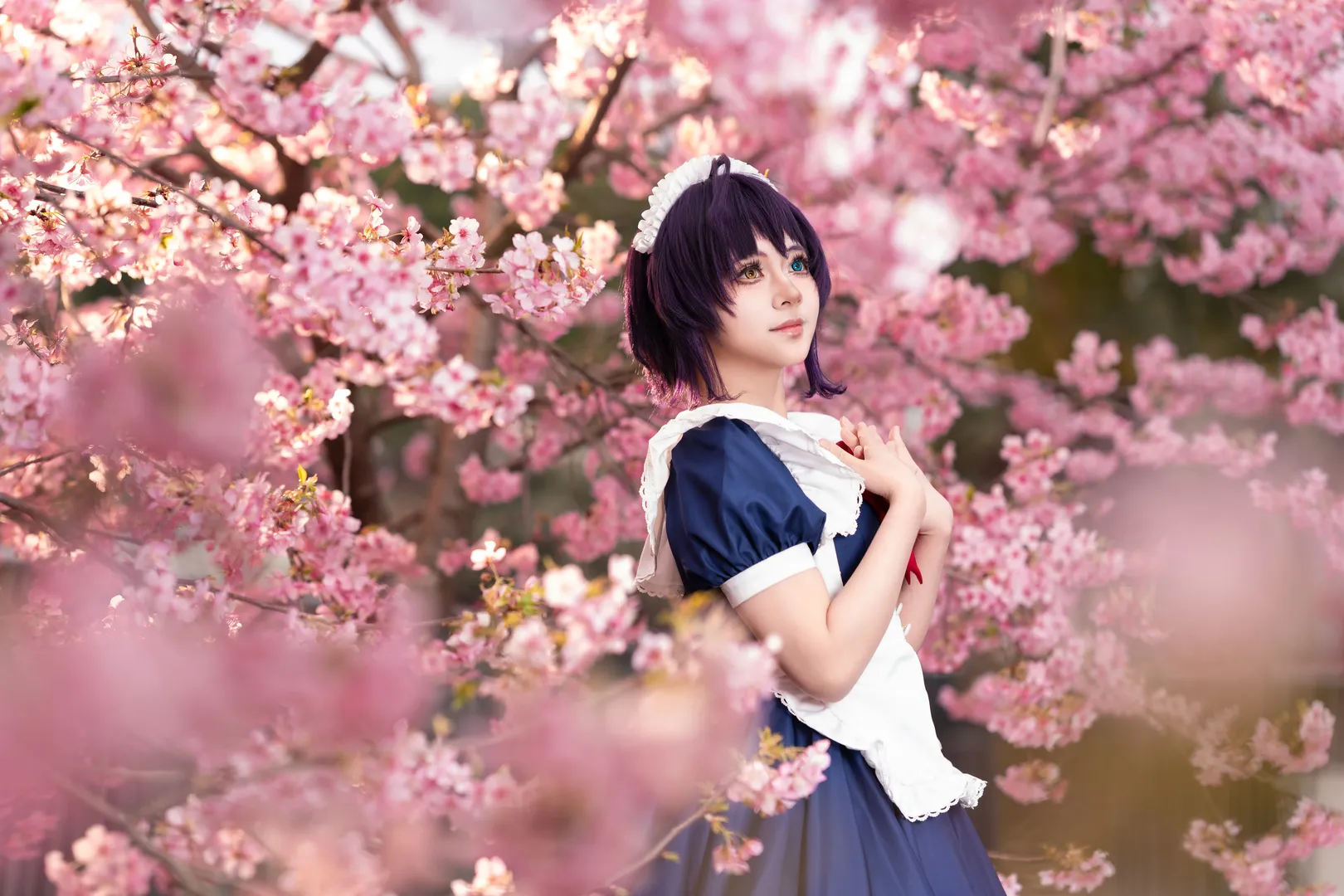 中二病也要谈恋爱, 漫花庄园, cosplay正片, 樱花外景, 小鸟游六花cos - 第8张
