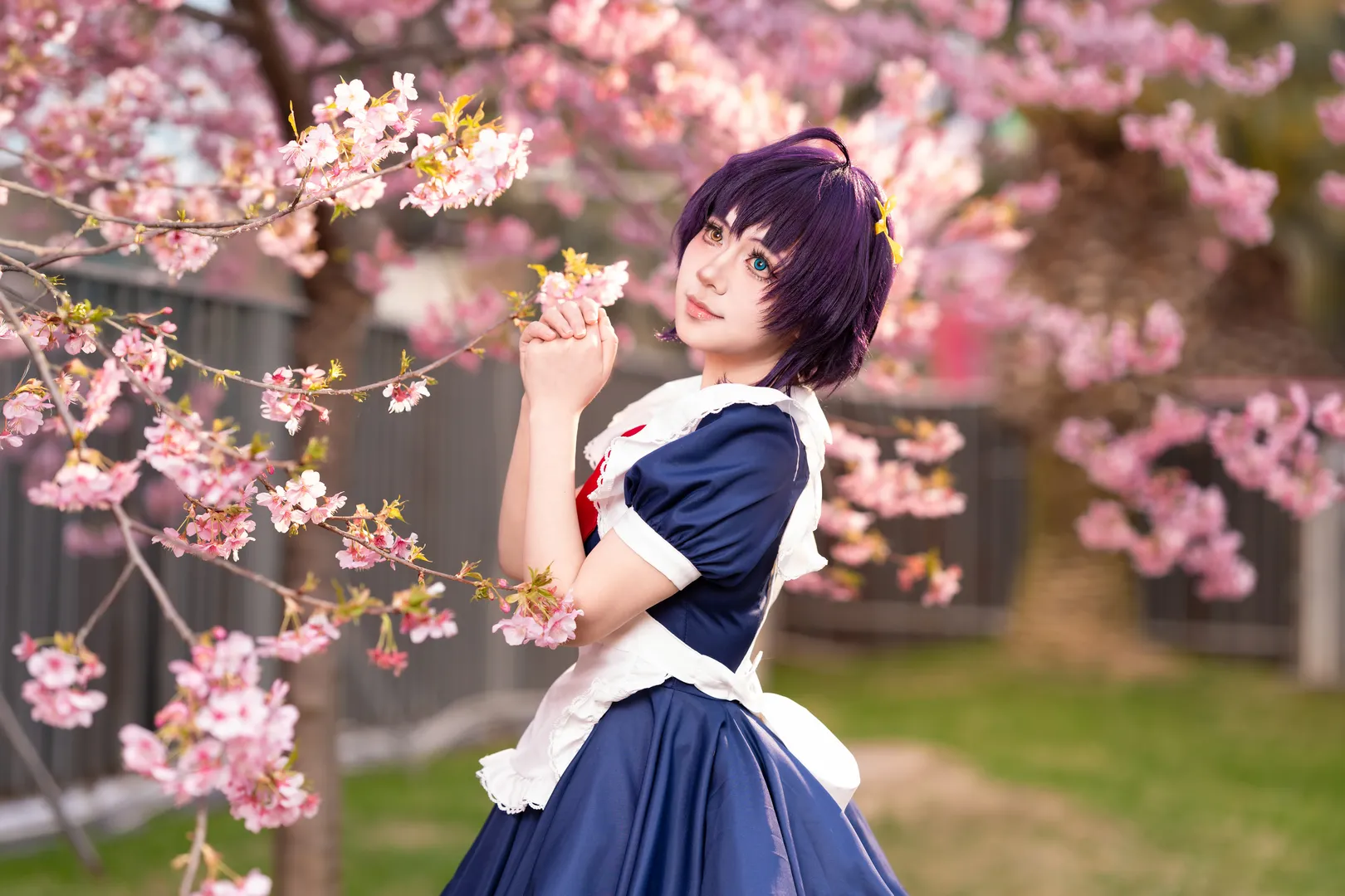 中二病也要谈恋爱, 漫花庄园, cosplay正片, 樱花外景, 小鸟游六花cos - 第9张