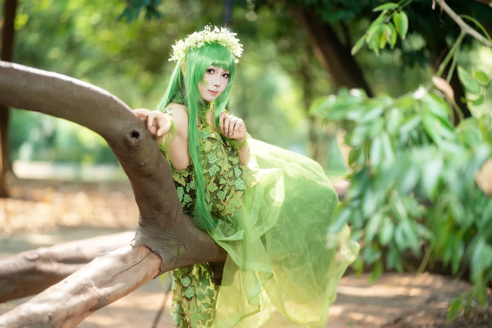 二次元撮影, 美的スタイル, エルフ少女, 森の妖精コスプレ, オズの魔法使い - 3枚目