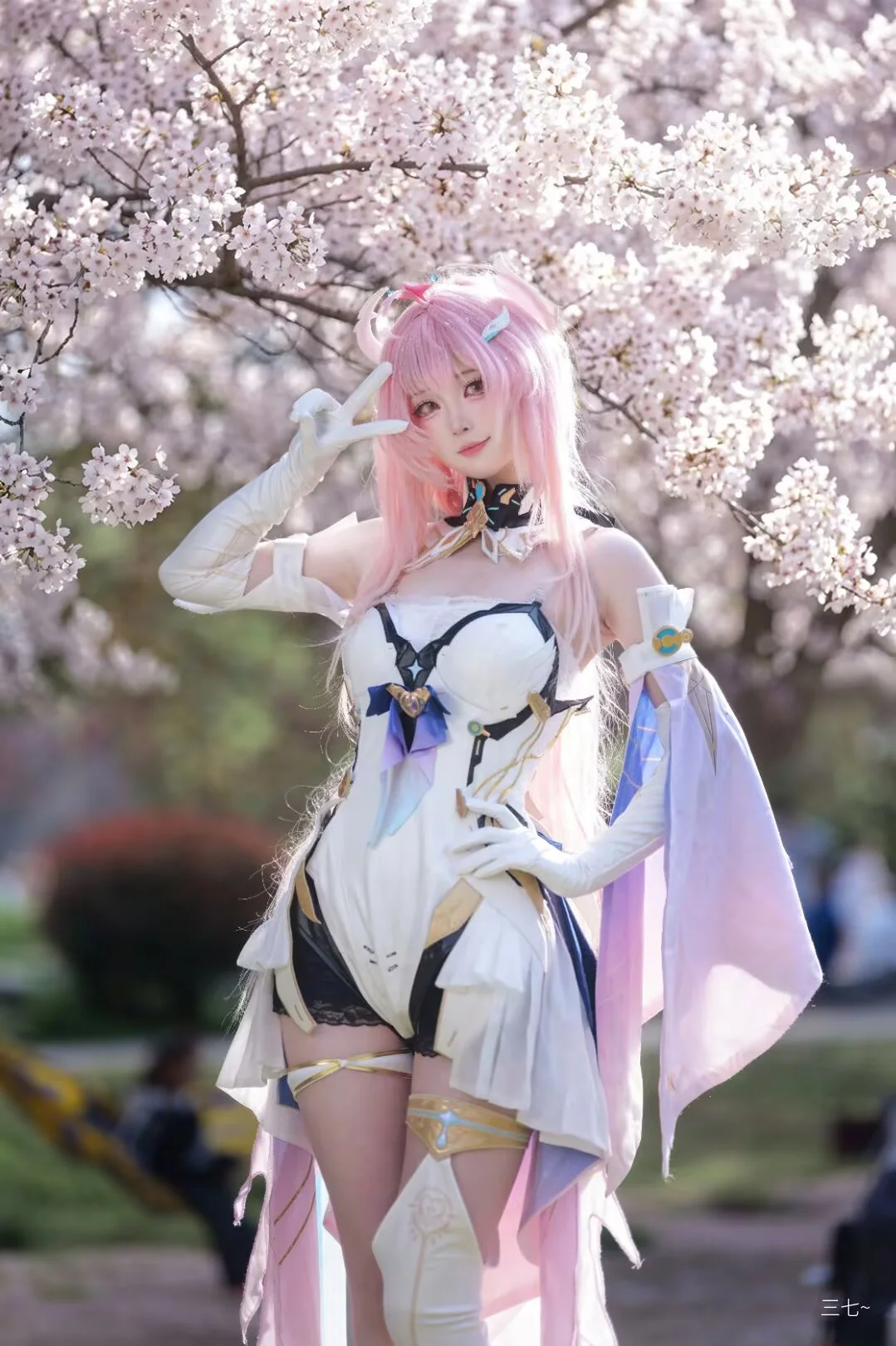 Elysia Cosplay, Genshin Impact, cosplay, Outdoor photography, Spring cherry blossoms