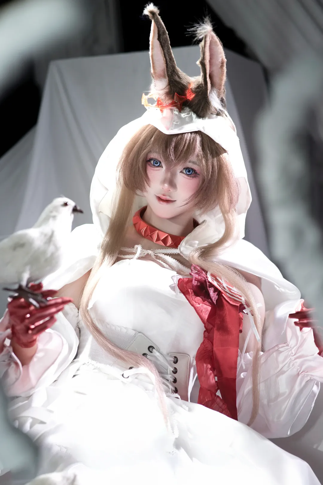 アークナイツ, アーミヤ コスプレ, コスプレ撮影, スタジオ撮影, 衣装製作