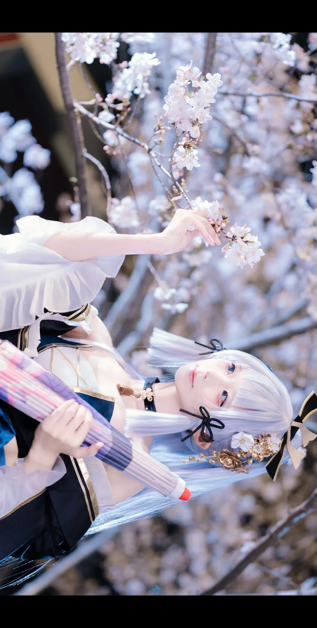 原神, 二次元摄影, 神里绫华cos, 夜樱, 黑道千金 - 第3张