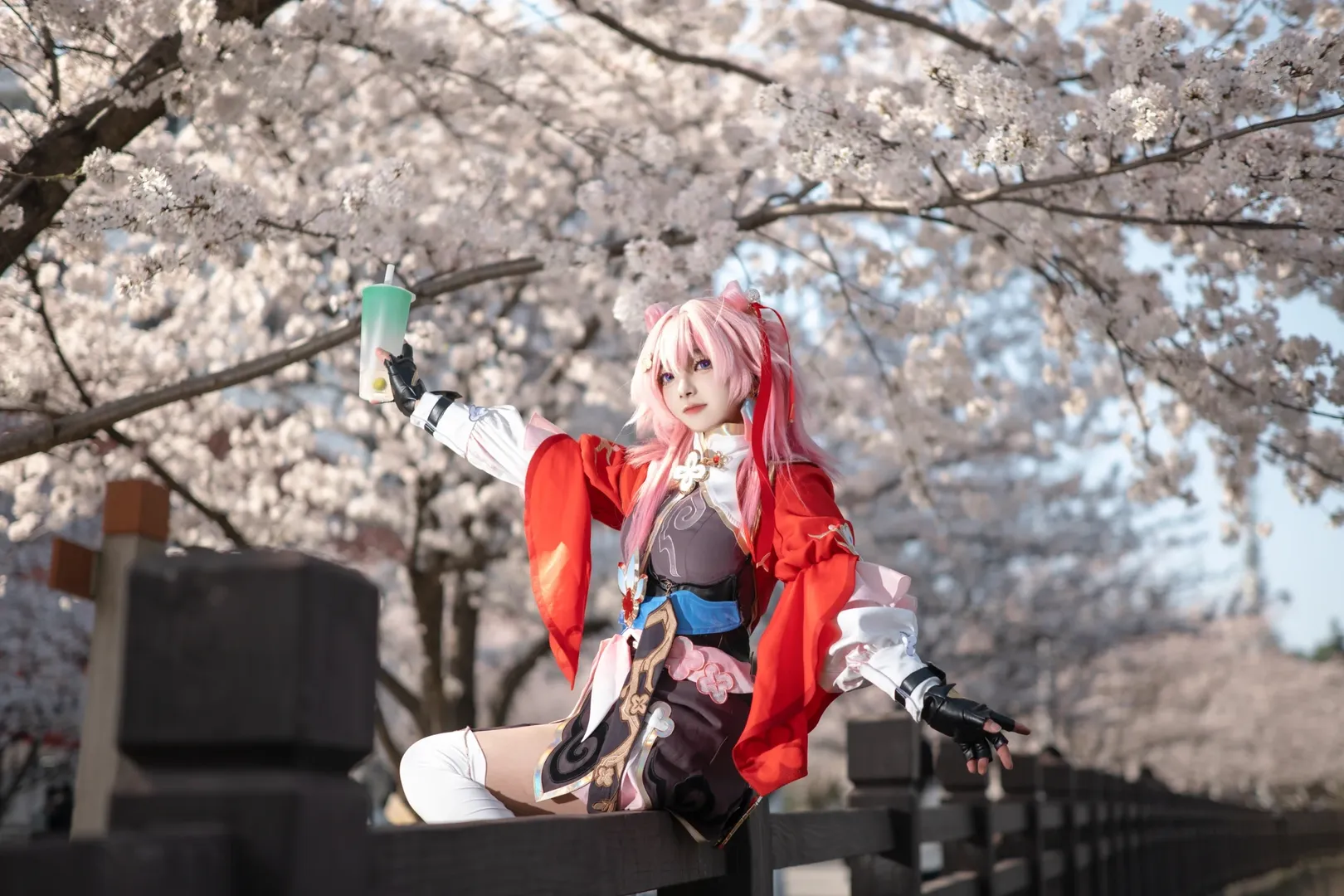 崩壞星穹鐵道, 三月七cos, cosplay攝影, 二次元外景, 櫻花季cos - 第3張