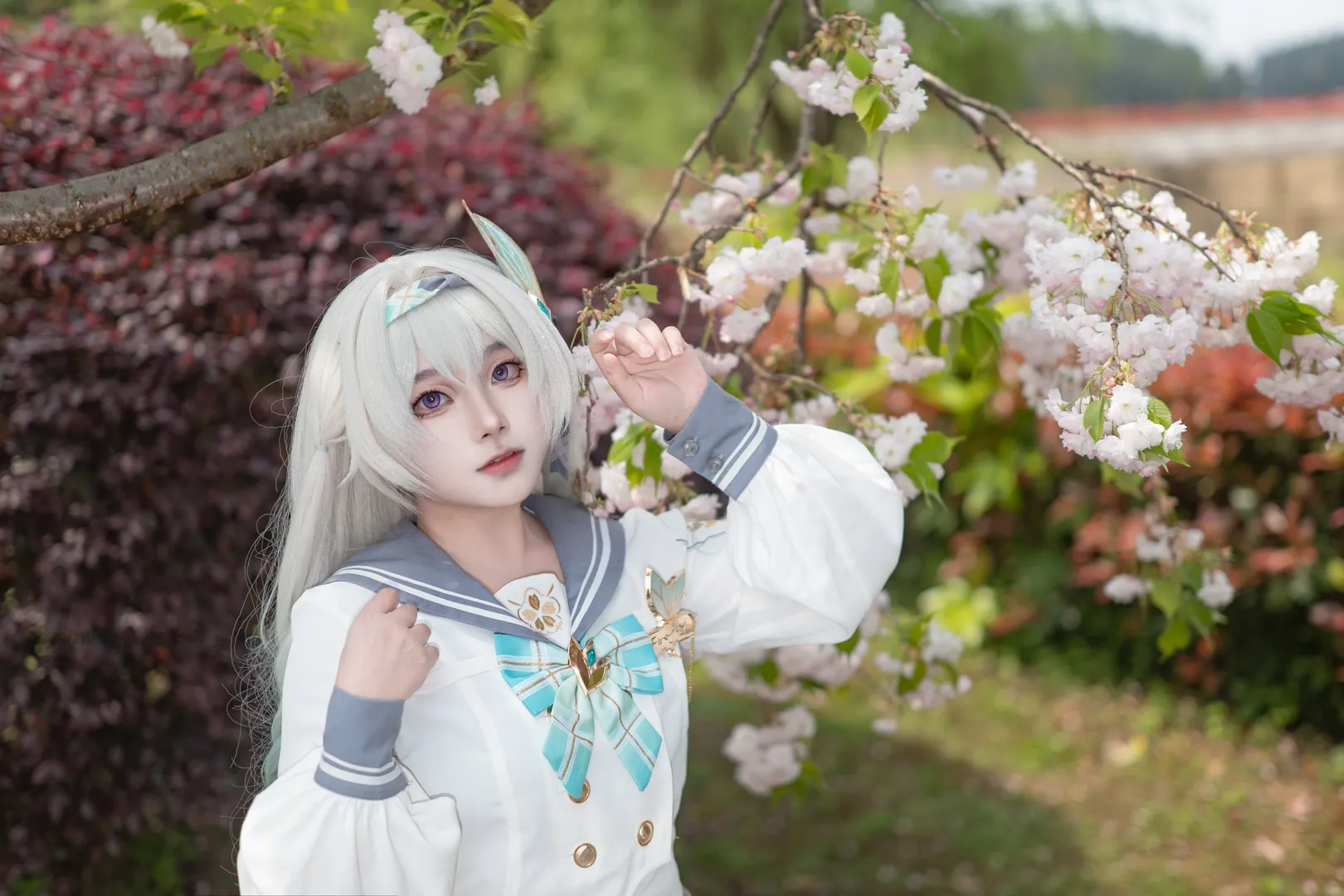 崩坏星穹铁道, 流萤cos, 春日写真, JK制服外拍, 樱花cosplay - 第4张