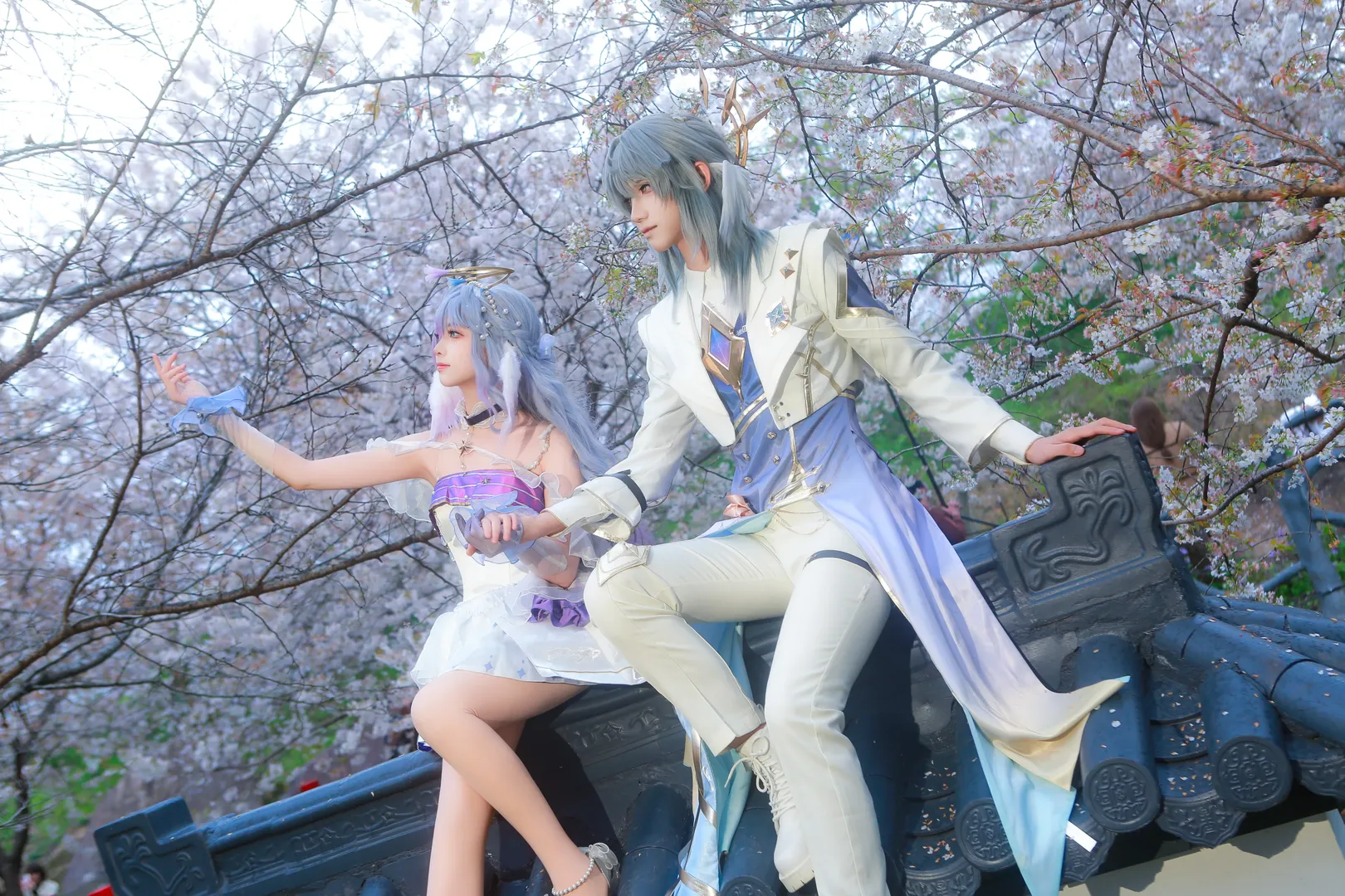 崩坏星穹铁道, 知更鸟cos, 匹诺康尼, 星期日cos, 樱花外景 - 第4张