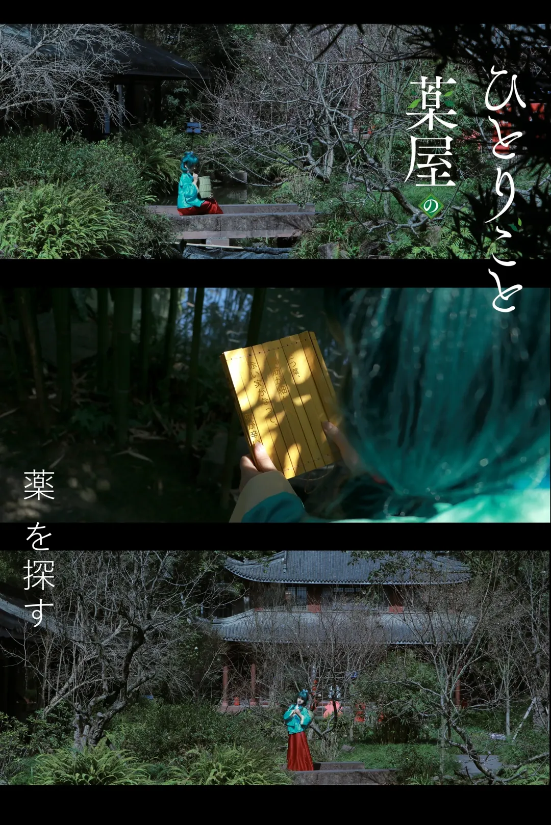 古风摄影, 猫猫cos, 药屋少女, 三苏祠外景, 生活感照片 - 第1张