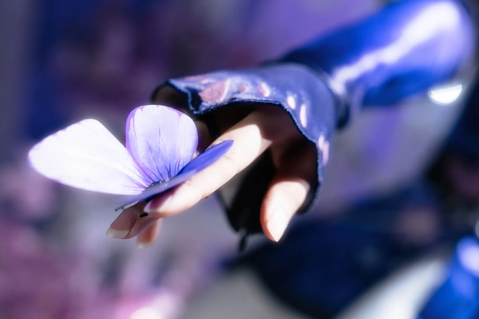 Anime-style photography, Honkai: Star Rail, Castorice cosplay, Butterflies dancing, Cosplay styling - Image 5