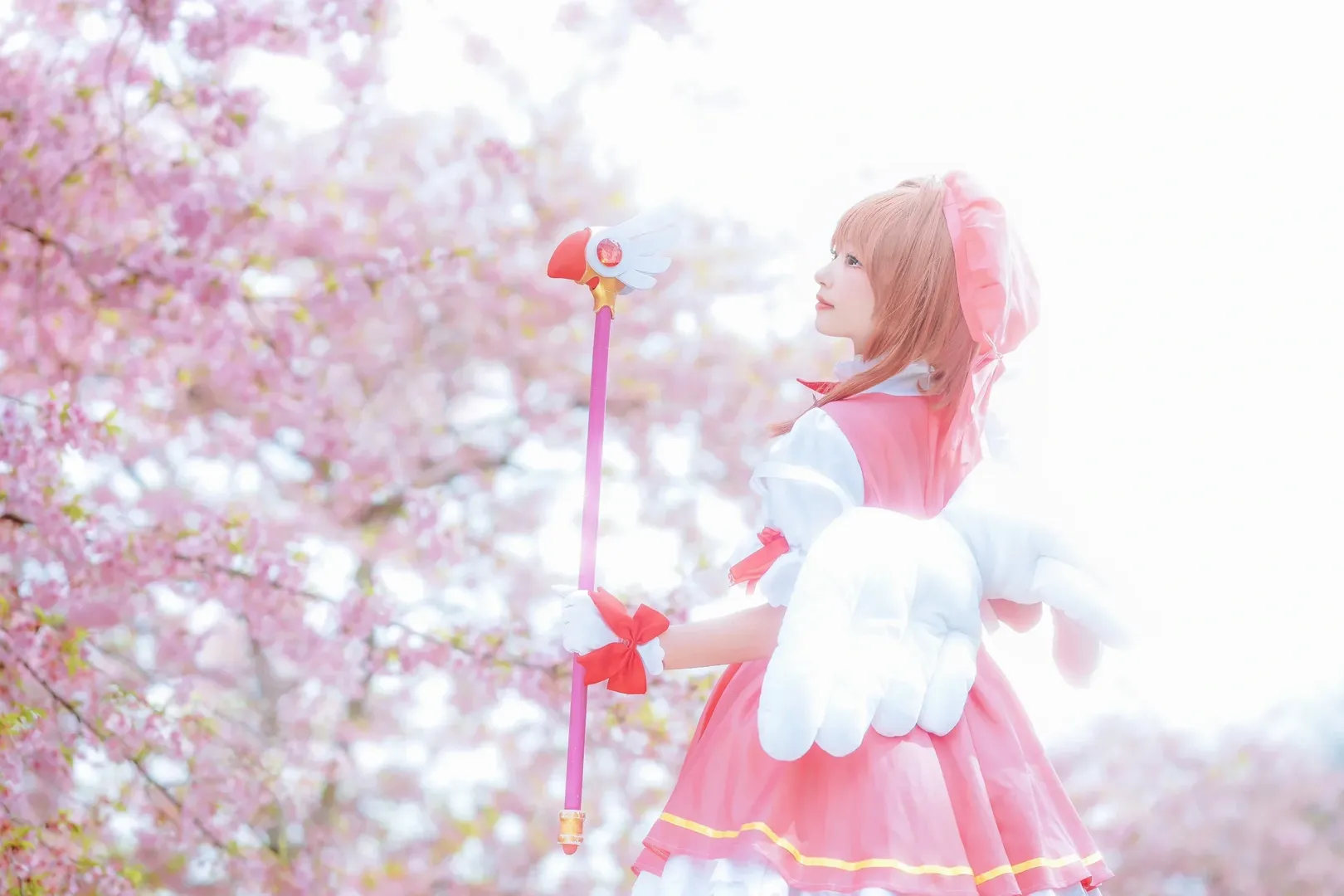 小樱cos, 上海约拍, 百变小樱, 樱花写真, 魔卡少女 - 第10张