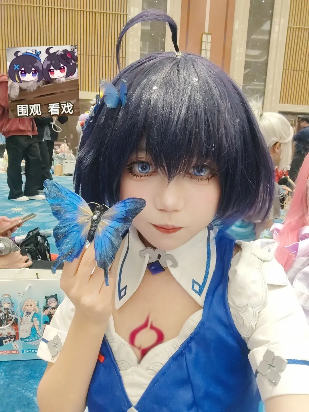 漫展, 希儿cos, 崩坏三, 蝴蝶, 冬典 - 第3张