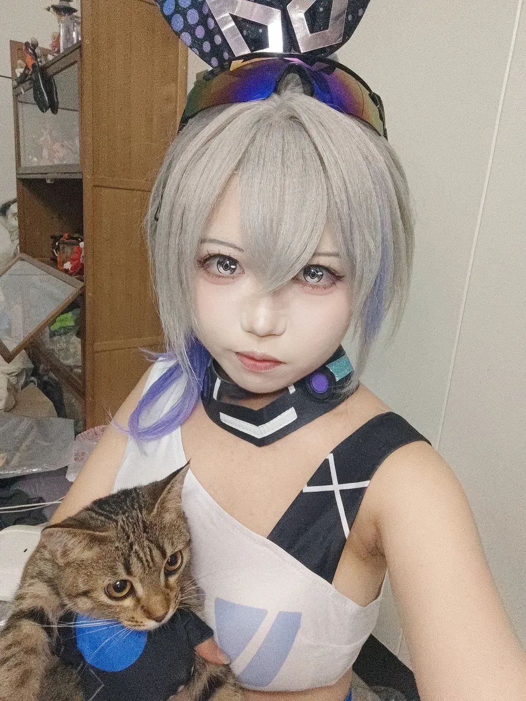 Honkai: Star Rail, Silver Wolf cosplay, Fishnet stockings cosplay, Tactical gear loadout, Anime daily life with a cat