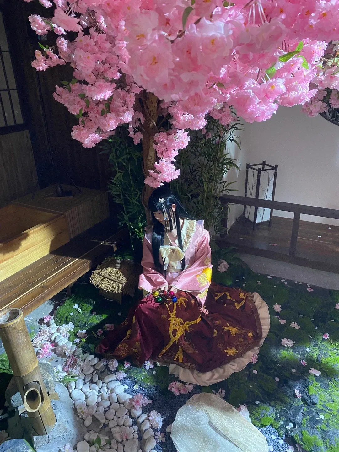 東方Project, 桜, 日本庭園, 写真共有, 蓬莱山輝夜コスプレ - 8枚目