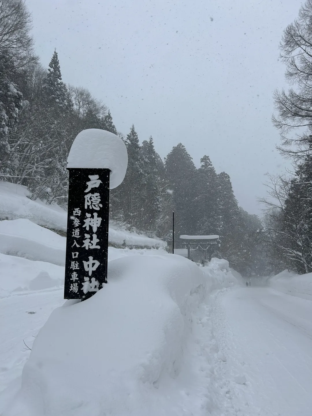 Fate/Grand Order, 冲田总司cos, 雪景cos, 灵衣总司, 户隐神社 - 第10张