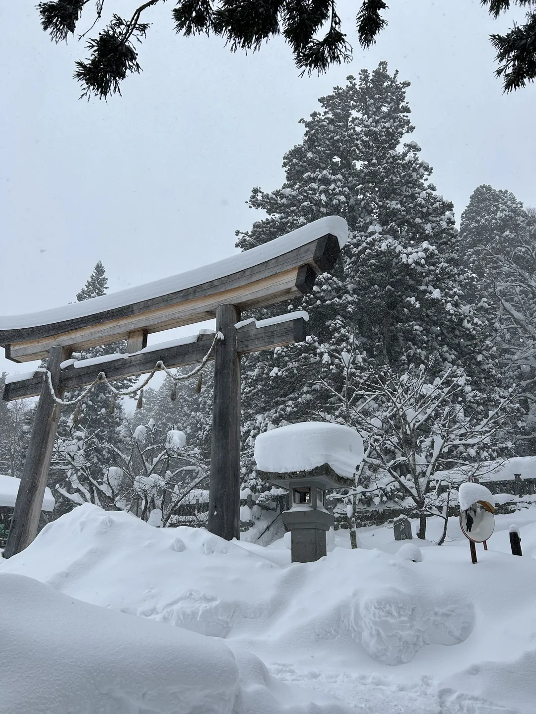 Fate/Grand Order, 冲田总司cos, 雪景cos, 灵衣总司, 户隐神社 - 第11张