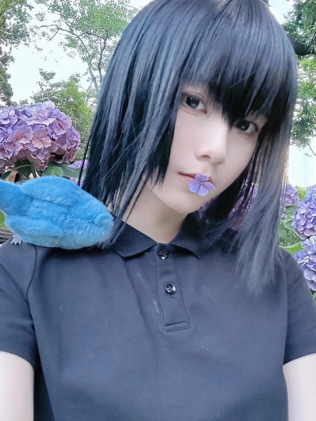 fgo, 夏日cos, 绣球花外景, 魔法使之夜, 久远寺有珠cos