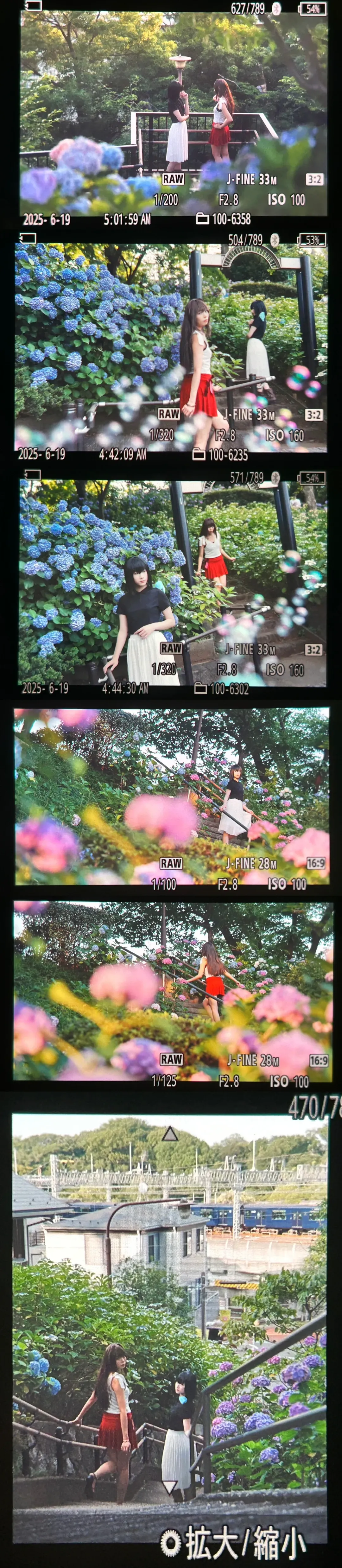 fgo, 夏日cos, 绣球花外景, 魔法使之夜, 久远寺有珠cos - 第7张