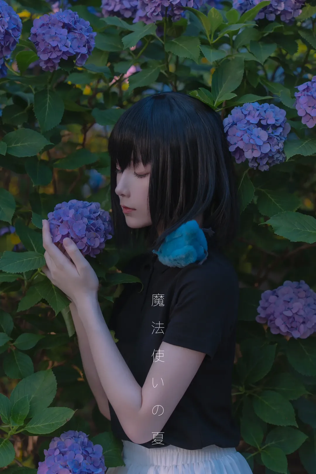 Hydrangea, Atmospheric photography, Witch on the Holy Night, Kuonji Alice cosplay, Moon cookies - Image 1