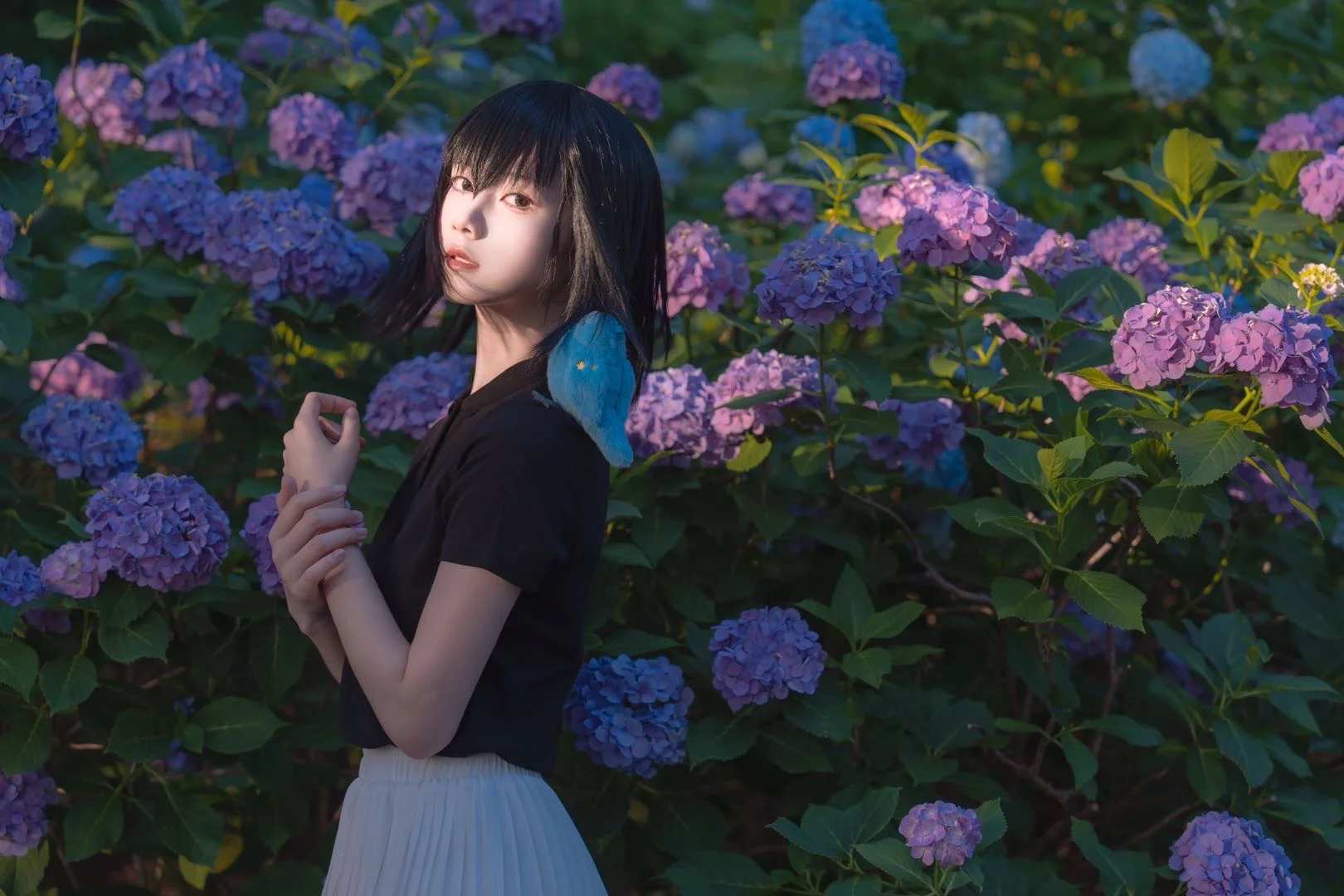 紫陽花, 雰囲気のある写真, 魔法使いの夜, 久遠寺有珠コスプレ, ムーンクッキー