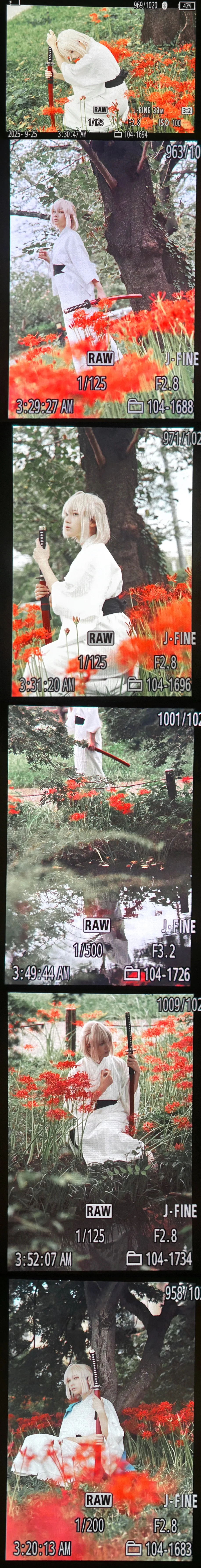 和风摄影, FGO, 冲田总司cos, 彼岸花, 新选组 - 第10张