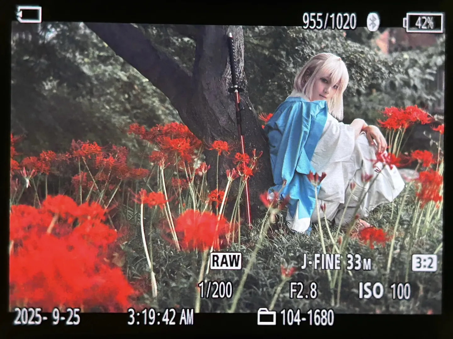 和风摄影, FGO, 冲田总司cos, 彼岸花, 新选组 - 第6张