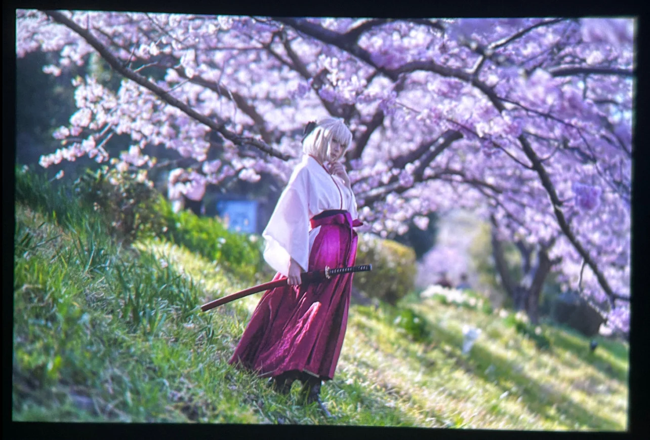 cosplay, 冲田总司cos, fgo, 和风少女, 春日摄影 - 第3张
