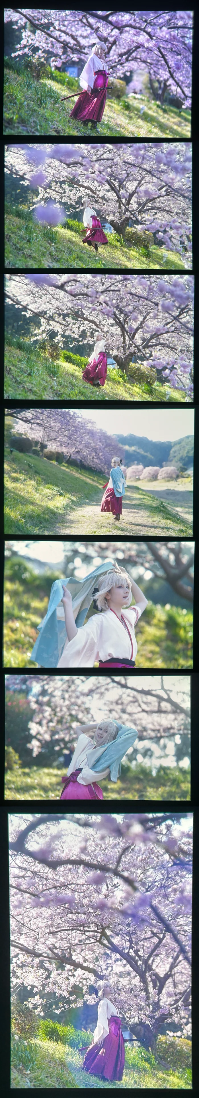 cosplay, 冲田总司cos, fgo, 和风少女, 春日摄影 - 第6张